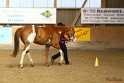 23-APHA SS_018